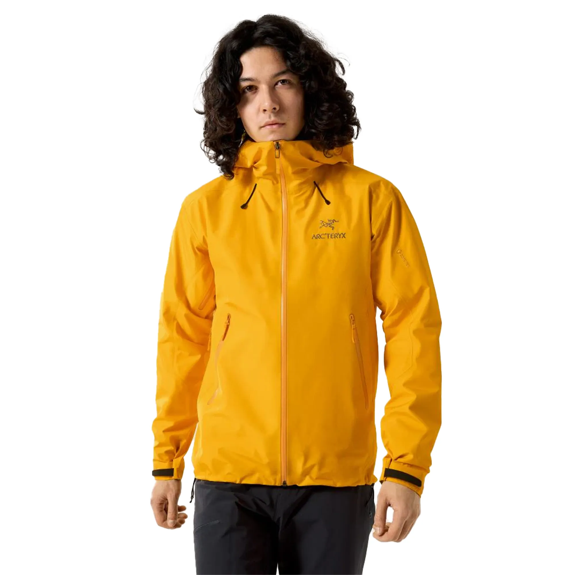 Arc'teryx Beta LT Jacket Edziza X00000730104