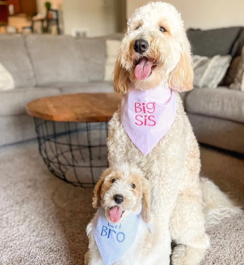 Big Brother Embroidered Dog Bandanas Personalized