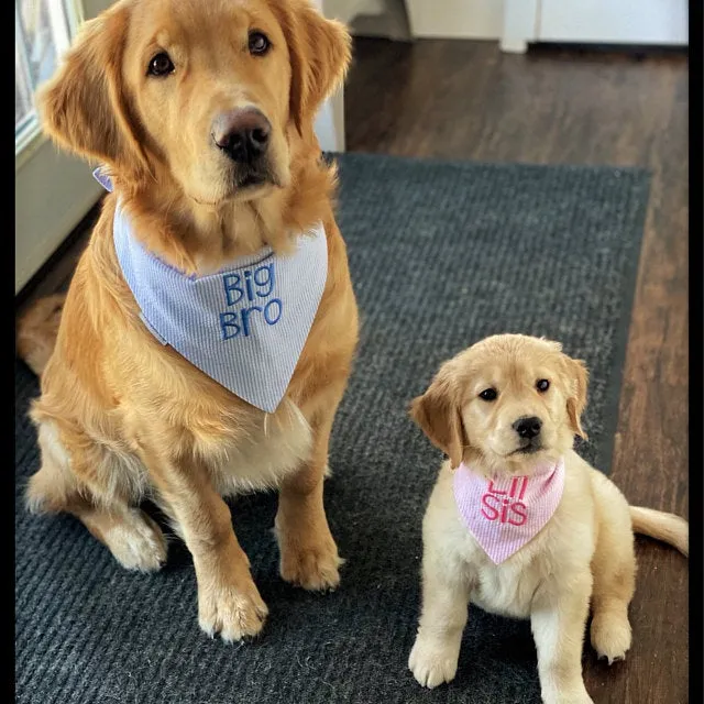 Big Brother Embroidered Dog Bandanas Personalized