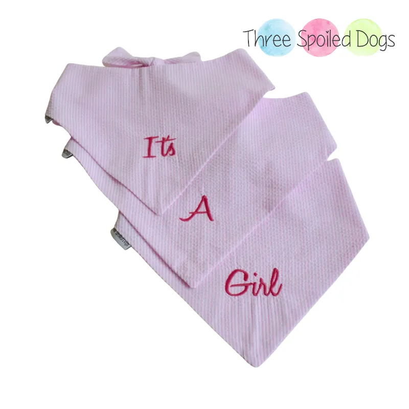 Big Brother Embroidered Dog Bandanas Personalized