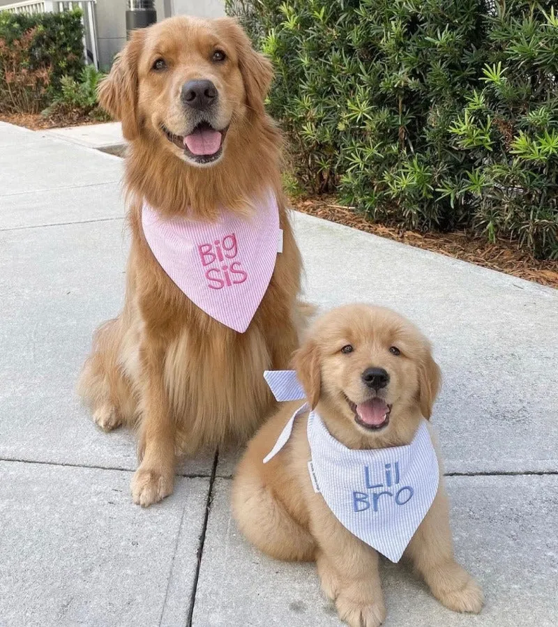 Big Brother Embroidered Dog Bandanas Personalized