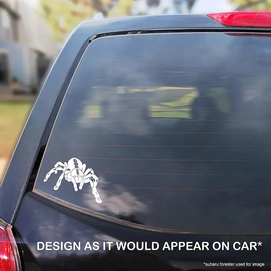 Gooty Sapphire Tarantula Decal, Waterproof Vinyl Decal, Cute Spider Gift