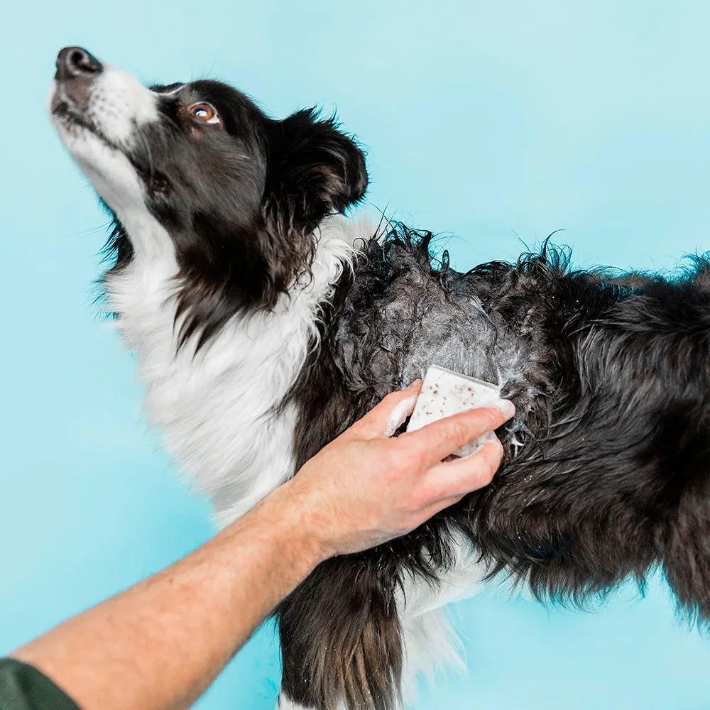 Shampooch™ Unscented Solid Dog Shampoo