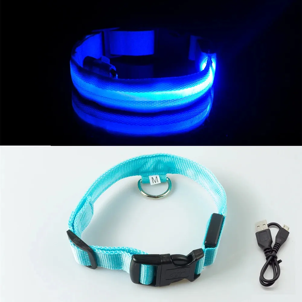 USB Charging/Battery replacement Led Dog Collar Anti-Lost Collar For Dogs Puppies Dog Collars Leads LED Supplies Pet Products