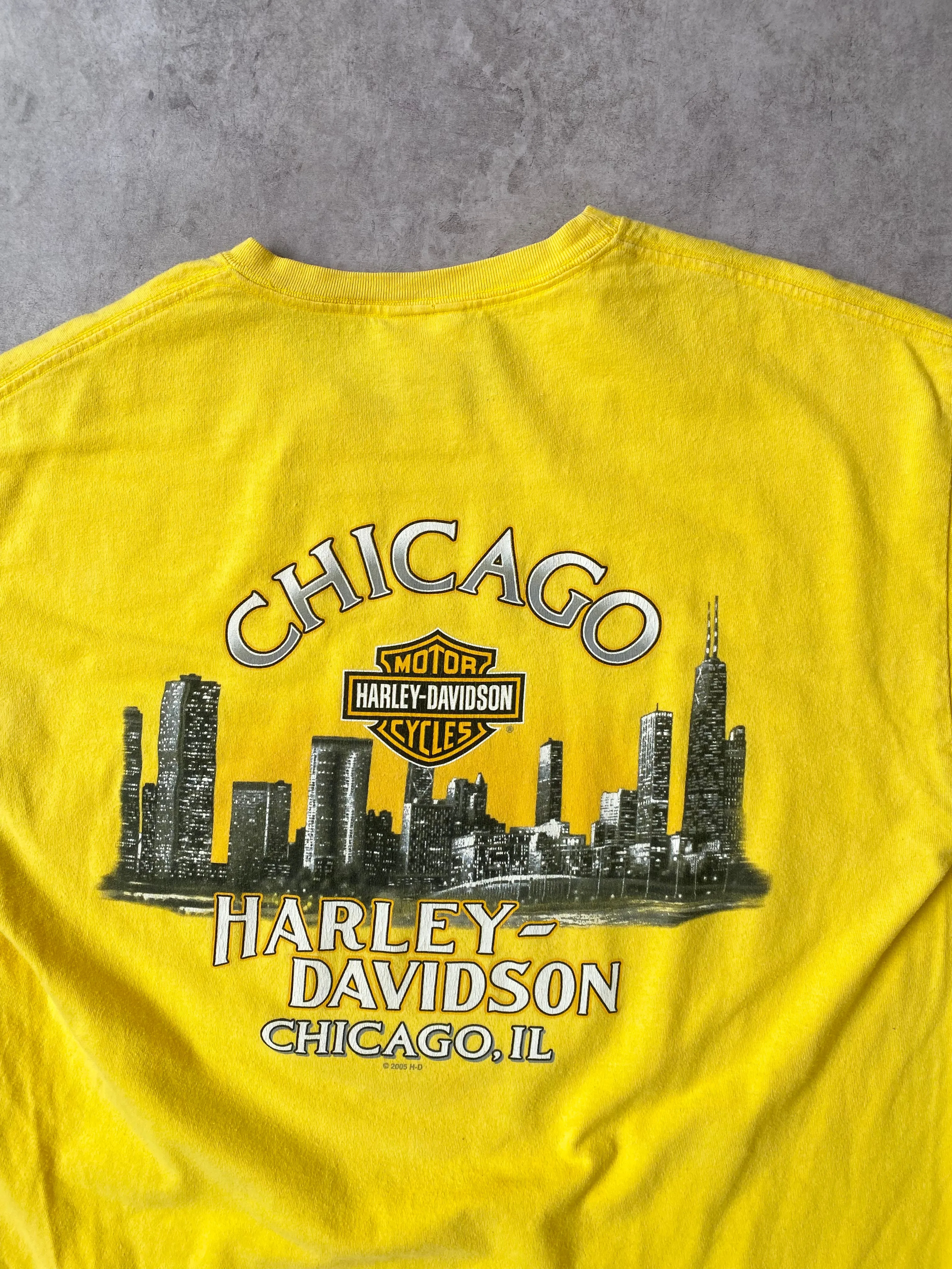 Vintage Harley Davidson Chicago, il Tee (L)